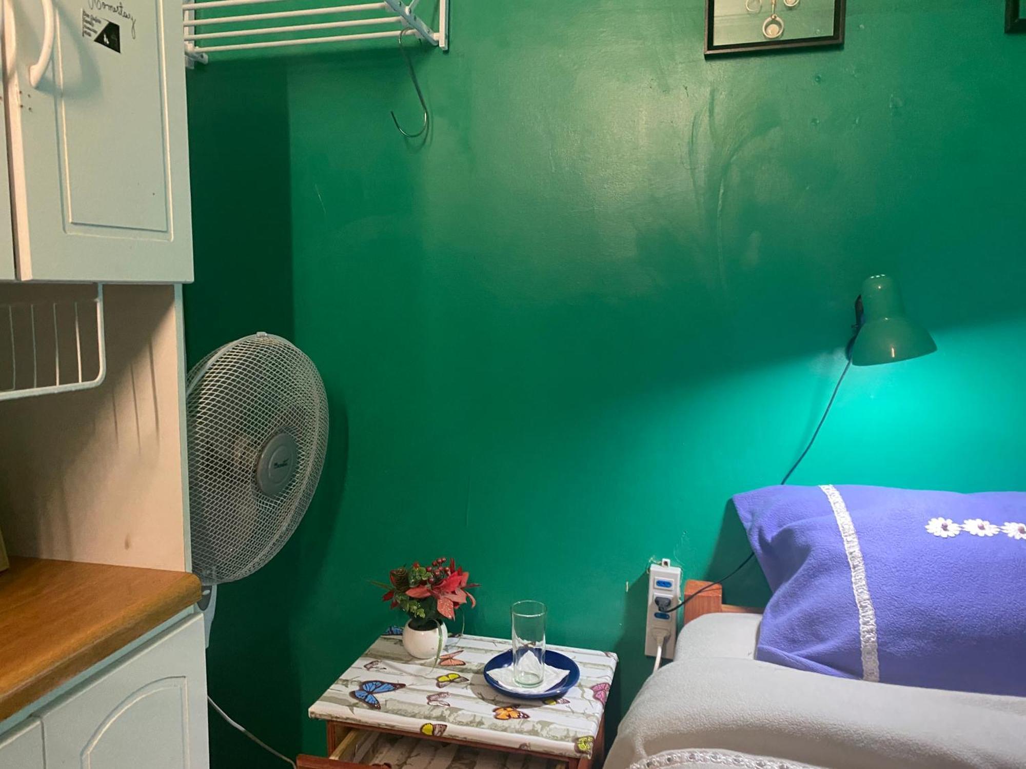 Don Quijote Family Homestay Сантьяго Екстер'єр фото